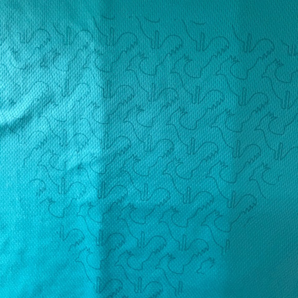 Rossignol Women’s Gym Shirt Activewear, Workout T-shirt Size L light teal color - Picture 6 of 6